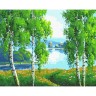 Картина по номерам "Берёзовая роща"
