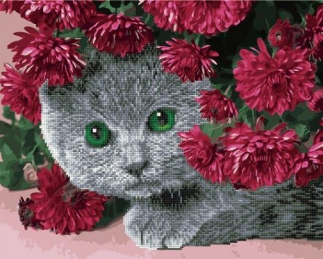 Картина по номерам + Алмазная мозаика "Кот в цветах" ★★★★