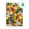 Пазл "Dodo Ботаника. Тропические фрукты" 770 эл