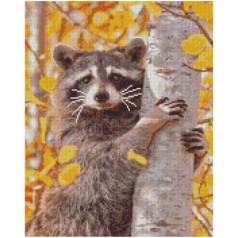Алмазная мозаика "Енот на дереве"
