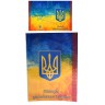 Обкладинка на паспорт "Громадянин України"