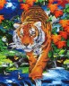 Картина за номерами + Алмазна мозаїка "Тигр біля річки"????