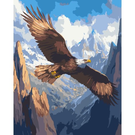 Картина по номерам "Полет над безграничием" 40*50 см