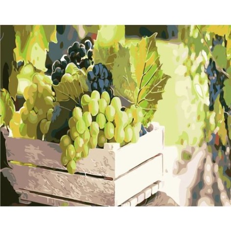 Картина за номерами "Соковитий виноград"