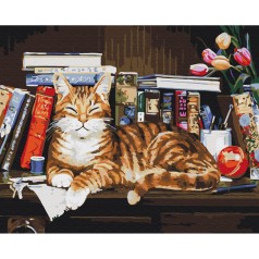 Картина по номерам "Кот на книжной полке" ★★★