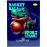 Дневник школьный "BASKETBALL", мягкий переплет