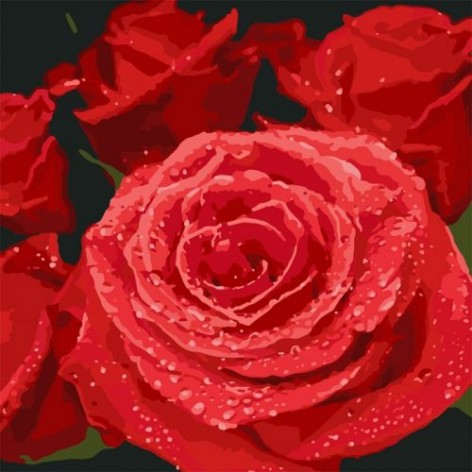 Картина по номерам "Красные розы" ★★★★