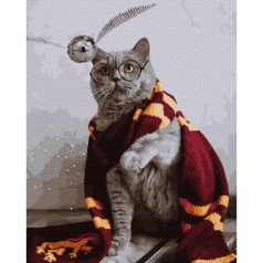 Картина по номерам "Котик ловец снитча" ★★★