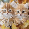 Алмазная картина "Рыжие котята" 30х30 см