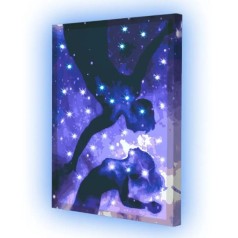 Картина по номерам со светодиодной подсветкой "Сияние твоей души" 40х50 см