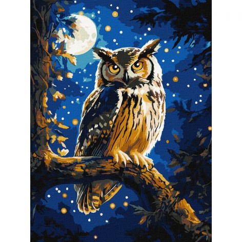 Картина по номерам с красками металлик "Ночная сова" 30х40 см