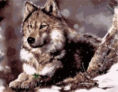 Картина по номерам "Волк" ★★★★