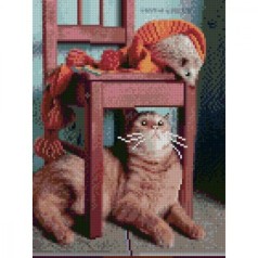 АЛМАЗНАЯ МОЗАИКА "Удивленный котик"