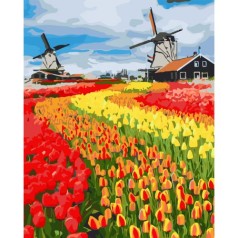 Картина по номерах 0055 ОРТ кол. Поле тюльпанів у Голландії 40*50