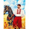Картина по номерам "Казак в поле" 30х40 см
