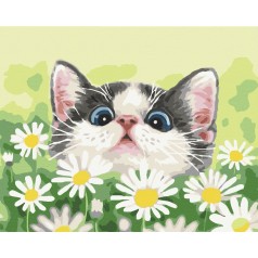 Картина по номерам "Котик в ромашках" ★★★