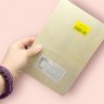 Деревянный вкладыш "Фрукты", 15х22,5 см
