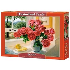 Пазл Castorland 3000