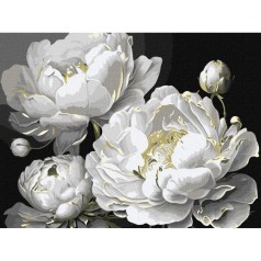 Картина по номерам с красками металлик "Безупречная красота" 30х40 см