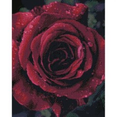 Алмазная мозаика "Роза"