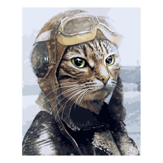 Картина по номерам "Кот лётчик" ★★★