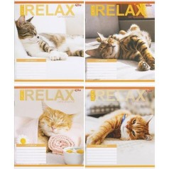 Тетрадь ЦВЕТНАЯ на 18 листов КЛЕТКА "RELAX CATʼS" (20 ШТ)