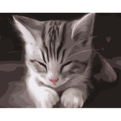Картина по номерам "Сонный котенок" ★★★