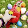 Интерактивная игрушка "Попугай-повторюшка" (красный)