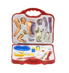 Докторский набор с анатомической моделью (в чемоданчике)