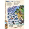 Книжка-панорамка "Сказка о рыбаке и рыбке" (рус)