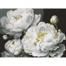 Алмазная мозаика "Безупречная красота" 30х40 см