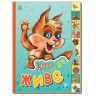 Книга "Маленькому познайке: Кто где живет" (укр)