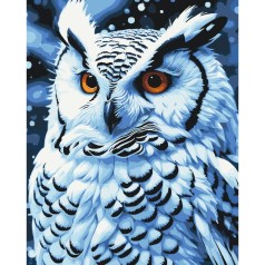 Картина по номерам "Ночная птица" 40х50 см