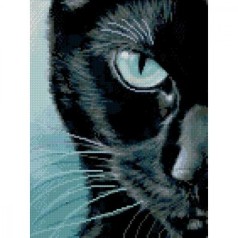 АЛМАЗНАЯ МОЗАИКА "Холодный взгляд"