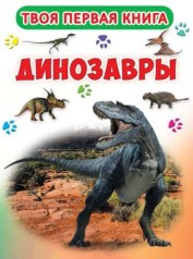 Твоя перша книга 