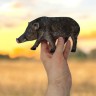 Дикие животные Гонконг 78 гум.медведь