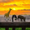Дикие животные Гонконг 78 гум.медведь