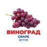 Геній з пелюшок. Фрукти та ягоди (демонстраційний матеріал)
