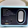 Колонка, длина 10 см, поддержка TF-карты, разъем AUX, type-С, USB, встроенный аккумулятор, регуляция громкости, в коробке (ГОЛУБАЯ)