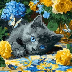 Набор для росписи по номерам "Котенок голубоглазый" 40х40 см