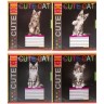 Тетрадь ЦВЕТНАЯ на 12 листов КЛЕТКА "CUTE CAT" (20 ШТ)