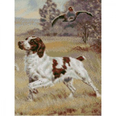 АЛМАЗНАЯ МОЗАИКА 