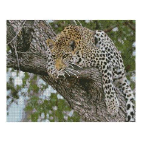 Алмазная мозаика "Леопард на дереве"